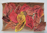 Creative Art Lessons (Season 1) 4 years old